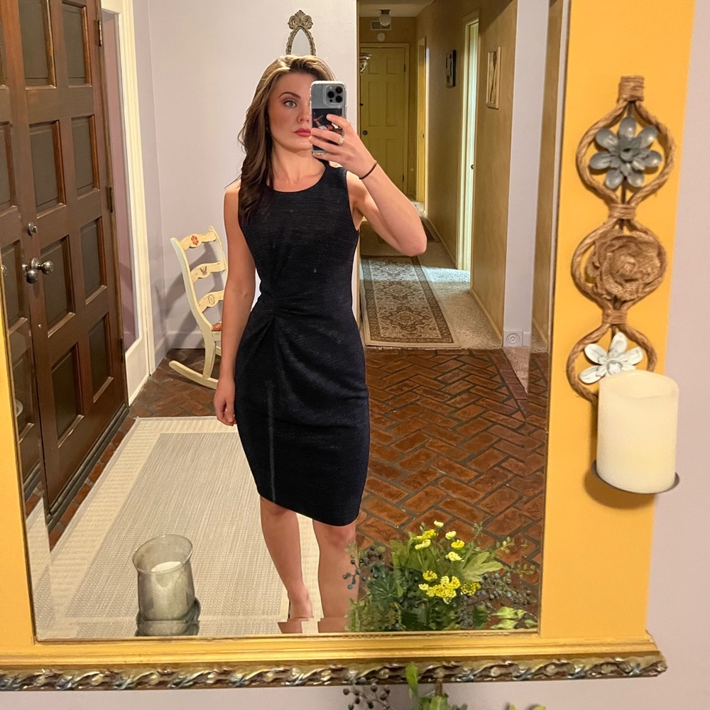 Tahari Dress Size 2